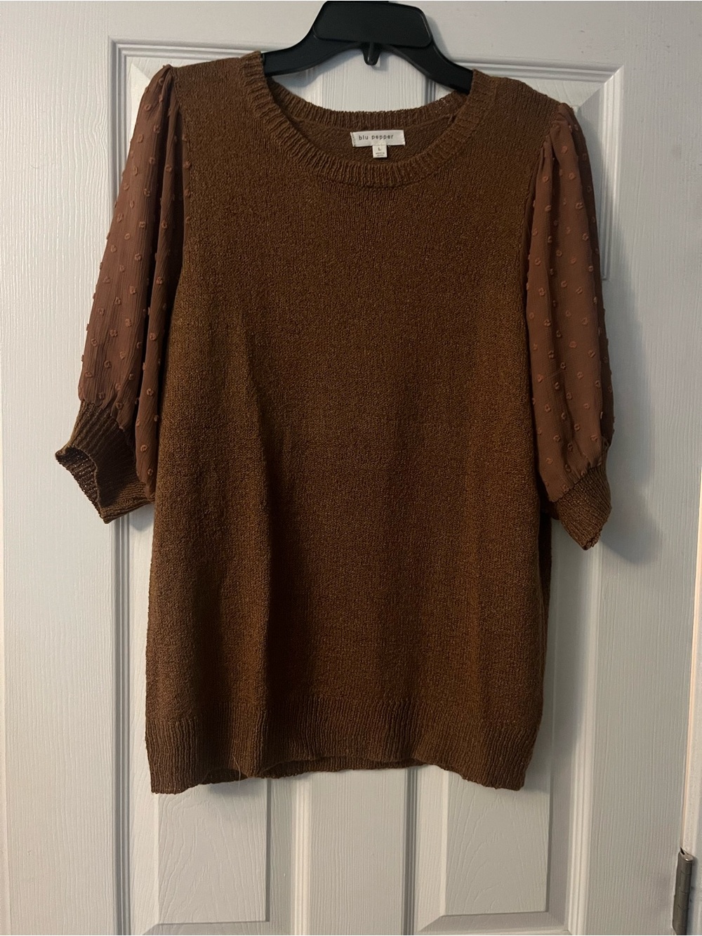 Blu Pepper Brown Textured Knit Short Sleeve Sweater with Sheer Dot Puff Sleeves